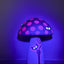 Glow in the Dark Things