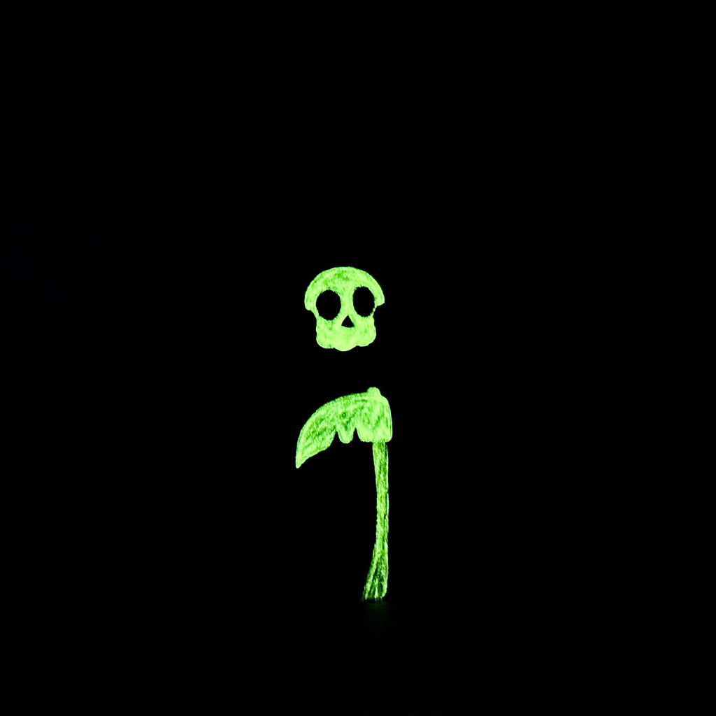 The Glow-in-the-dark crew