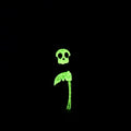 The Glow-in-the-dark crew
