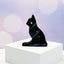 Space Cat