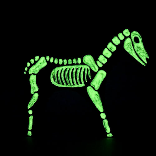 The Glow-in-the-dark crew